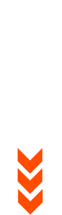 SCROLL V2